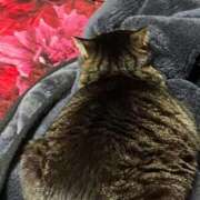 ヒメ日記 2025/12/28 12:23 投稿 れい 回春メンズエステ 華びら