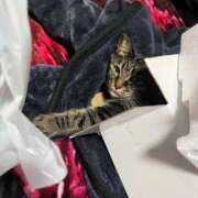 ヒメ日記 2026/01/14 10:53 投稿 れい 回春メンズエステ 華びら