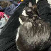 ヒメ日記 2026/01/29 10:43 投稿 れい 回春メンズエステ 華びら