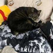 ヒメ日記 2026/01/30 10:33 投稿 れい 回春メンズエステ 華びら