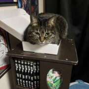 ヒメ日記 2026/03/01 11:23 投稿 れい 回春メンズエステ 華びら