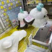 ヒメ日記 2026/03/03 12:23 投稿 れい 回春メンズエステ 華びら