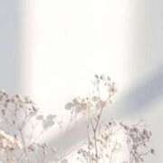 ヒメ日記 2026/03/04 10:33 投稿 れい 回春メンズエステ 華びら