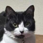 ヒメ日記 2026/04/15 12:43 投稿 れい 回春メンズエステ 華びら