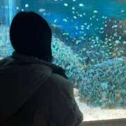 ヒメ日記 2025/01/25 07:50 投稿 関戸　あゆみ やみつきエステ錦糸町店