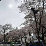 ヒメ日記 2026/04/06 22:08 投稿 関戸　あゆみ やみつきエステ錦糸町店