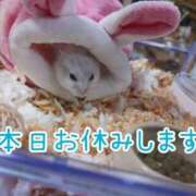 ヒメ日記 2025/07/15 09:42 投稿 まみ エマニエル