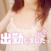 ヒメ日記 2025/09/30 09:42 投稿 まみ エマニエル