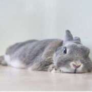 ヒメ日記 2025/02/15 10:18 投稿 さくら One More奥様　厚木店