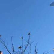 ヒメ日記 2026/01/09 10:31 投稿 しずく 池袋本気AF専門店AF革命絶頂アクメ