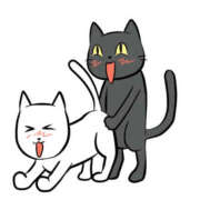 ヒメ日記 2025/09/23 16:41 投稿 まみちゃん ちょい！ぽちゃロリ倶楽部Hip's馬橋店