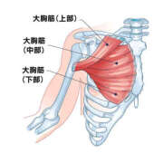 ヒメ日記 2025/10/09 14:01 投稿 まみちゃん ちょい！ぽちゃロリ倶楽部Hip's馬橋店