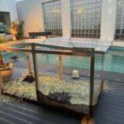 ヒメ日記 2024/12/30 08:37 投稿 しえる ジュリアングループ八王子店