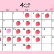 ヒメ日記 2025/03/29 12:46 投稿 まよ バイオレンス