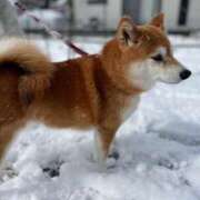 ヒメ日記 2025/02/20 21:21 投稿 神凪　カレン Amateras～アマテラス～