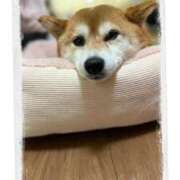 ヒメ日記 2025/07/08 18:29 投稿 神凪　カレン Amateras～アマテラス～