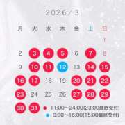 ヒメ日記 2026/02/23 12:03 投稿 神凪　カレン Amateras～アマテラス～