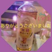 ヒメ日記 2025/03/23 01:14 投稿 熟女 ゆかり ハナミズキ