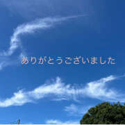 ヒメ日記 2025/03/28 01:24 投稿 熟女 ゆかり ハナミズキ