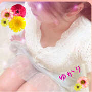 ヒメ日記 2025/05/20 00:22 投稿 熟女 ゆかり ハナミズキ