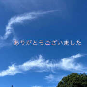 ヒメ日記 2025/08/19 23:22 投稿 熟女 ゆかり ハナミズキ