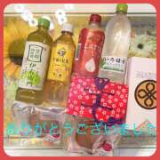 ヒメ日記 2025/10/09 23:18 投稿 熟女 ゆかり ハナミズキ