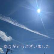 ヒメ日記 2025/10/27 23:28 投稿 熟女 ゆかり ハナミズキ