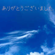 ヒメ日記 2025/11/12 11:26 投稿 熟女 ゆかり ハナミズキ