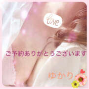 ヒメ日記 2025/11/17 11:18 投稿 熟女 ゆかり ハナミズキ