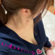 ヒメ日記 2025/11/20 23:58 投稿 熟女 ゆかり ハナミズキ