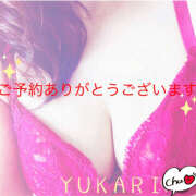 ヒメ日記 2025/11/26 09:16 投稿 熟女 ゆかり ハナミズキ