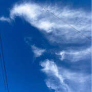 ヒメ日記 2025/11/26 10:12 投稿 熟女 ゆかり ハナミズキ