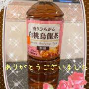 ヒメ日記 2025/11/28 06:40 投稿 熟女 ゆかり ハナミズキ