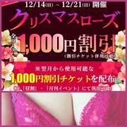 熟女 ゆかり 11時〜出勤します(*´`*) ハナミズキ