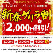 ヒメ日記 2026/01/04 23:56 投稿 熟女 ゆかり ハナミズキ