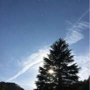 ヒメ日記 2026/01/12 22:30 投稿 熟女 ゆかり ハナミズキ