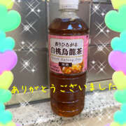 ヒメ日記 2026/01/20 01:56 投稿 熟女 ゆかり ハナミズキ