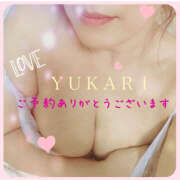 ヒメ日記 2026/02/06 00:46 投稿 熟女 ゆかり ハナミズキ