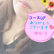 ヒメ日記 2026/03/02 22:20 投稿 熟女 ゆかり ハナミズキ