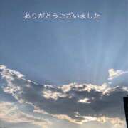ヒメ日記 2026/03/19 02:22 投稿 熟女 ゆかり ハナミズキ