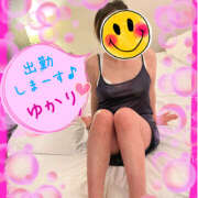 熟女 ゆかり こんばんは ハナミズキ