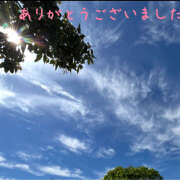 ヒメ日記 2026/04/11 02:38 投稿 熟女 ゆかり ハナミズキ