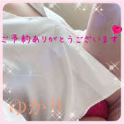 ヒメ日記 2026/04/12 01:12 投稿 熟女 ゆかり ハナミズキ