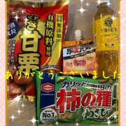 ヒメ日記 2026/04/12 23:46 投稿 熟女 ゆかり ハナミズキ