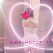 ヒメ日記 2026/07/06 11:38 投稿 熟女 ゆかり ハナミズキ