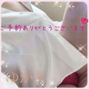 ヒメ日記 2026/09/18 00:34 投稿 熟女 ゆかり ハナミズキ