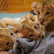 ヒメ日記 2025/05/31 19:48 投稿 春乃なの 全裸の極みorドッキング痴漢電車