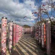 春乃なの 旅行行きたいのに… 全裸の極みorドッキング痴漢電車