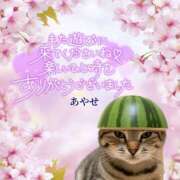 ヒメ日記 2025/04/09 04:09 投稿 あやせ ぽっちゃりデリヘル倶楽部