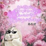 ヒメ日記 2025/04/16 23:11 投稿 あやせ ぽっちゃりデリヘル倶楽部